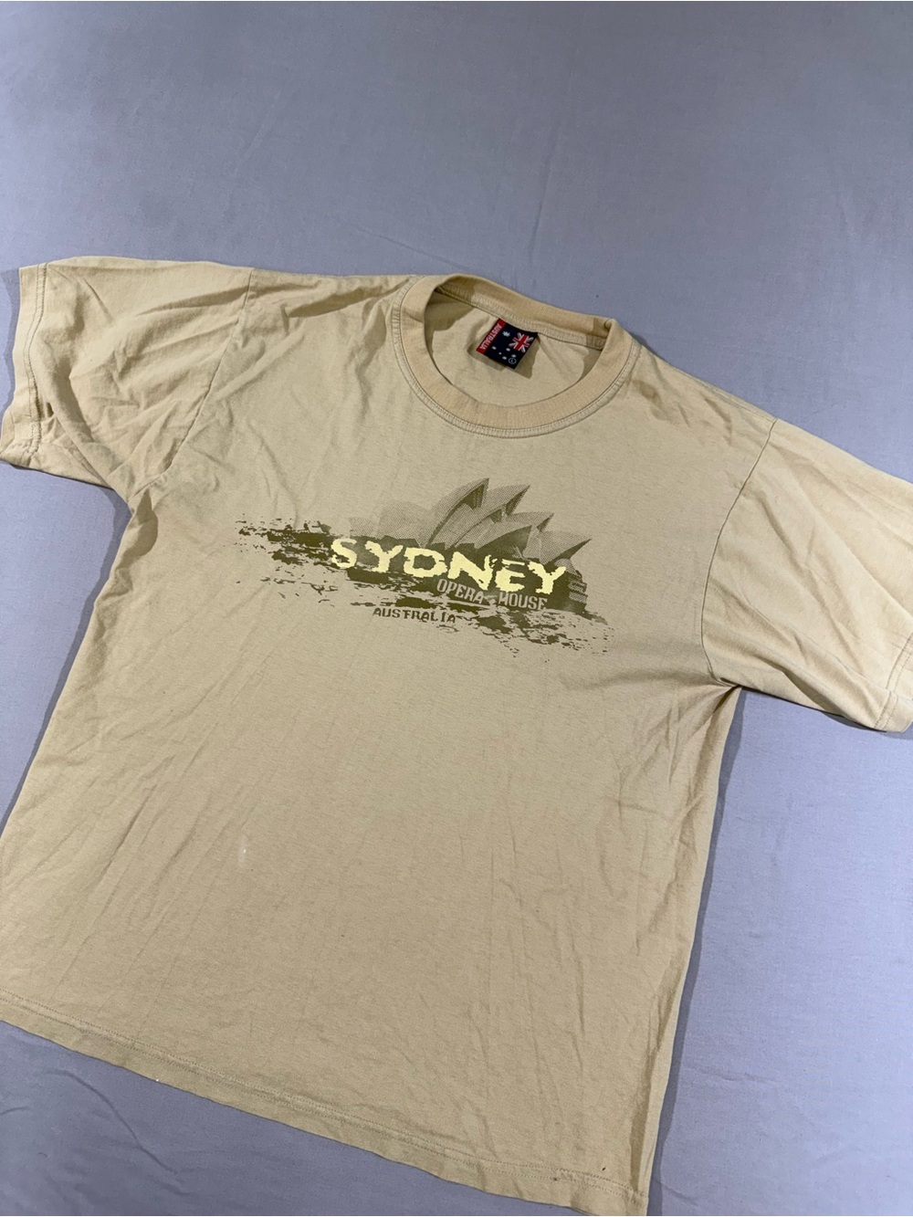 Y2K Sydney Opera House Graphic T-Shirt